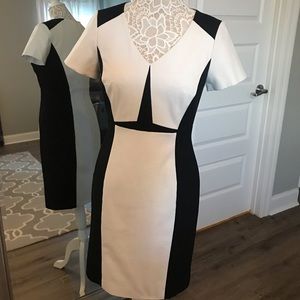 Antonio Melani Size 6 Sheath Dress